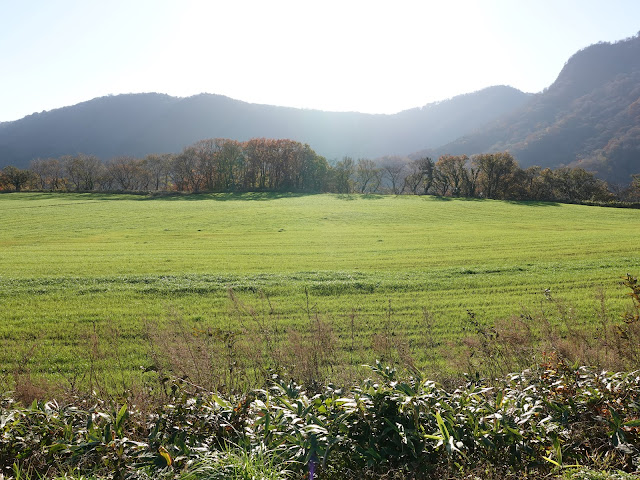 鳥取県西伯郡大山町羽田井　香取の牧草地