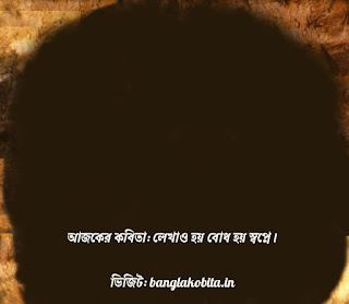 বাংলা কবিতা লেখাও হয় বোধ হয় স্বপ্নে