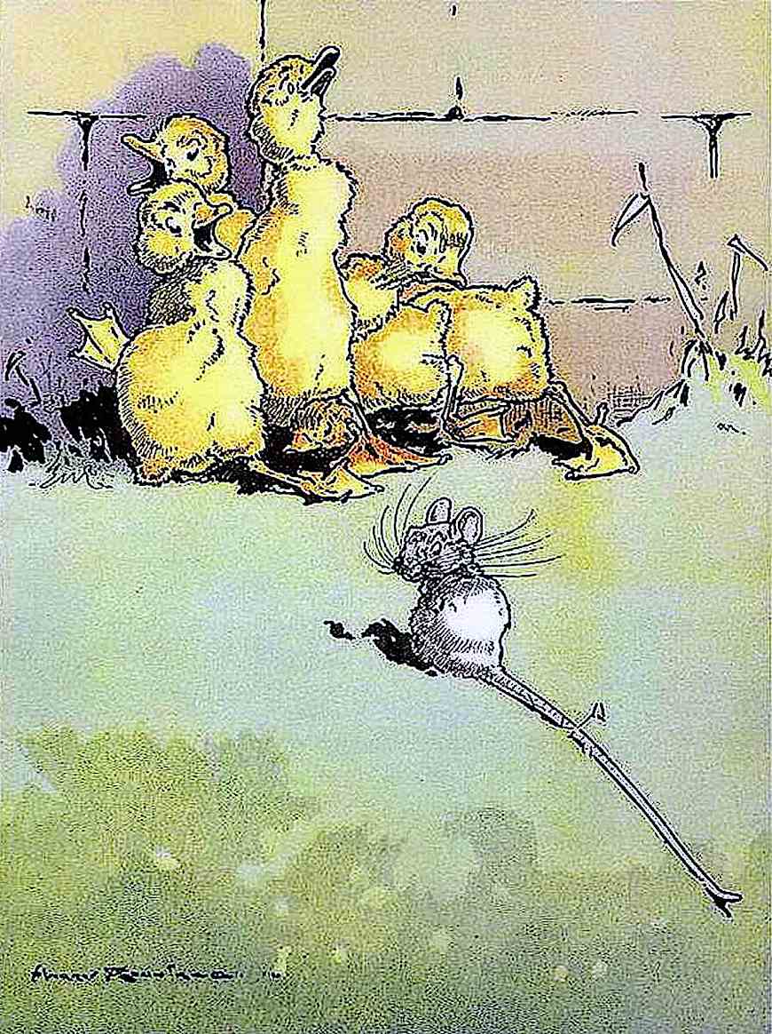 a Harry Rountree children's illustration of a mouse bullying a groups of baby ducks