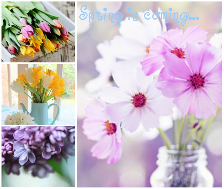 Winter Blues to Spring Flowers