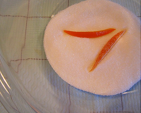 Dipped In Sugar