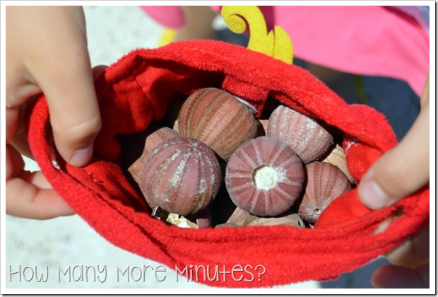 Sea Urchins at Knobby Head | How Many More Minutes?