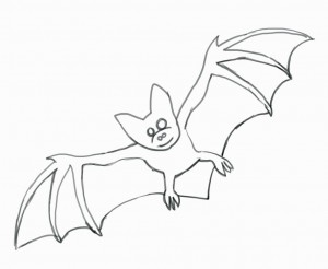 تعلم كيفيه رسم خفاش في خطوات بسيطه جدا