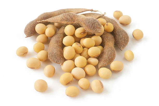 Top 5 Reasons Soy Diet Is Important