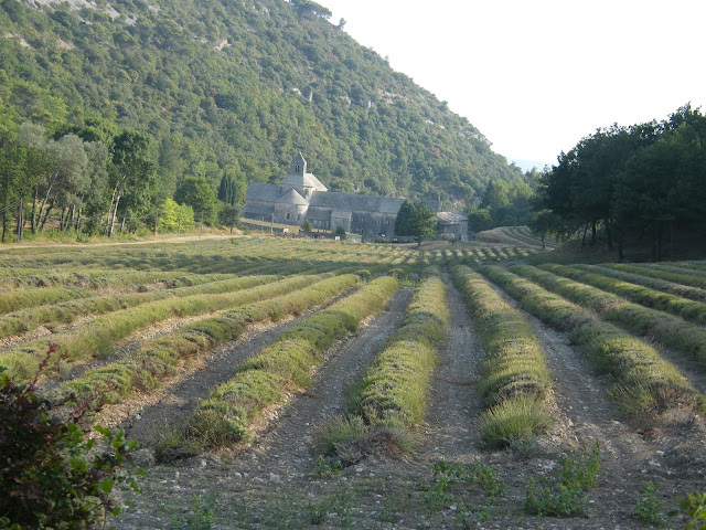 Abbazia di Senaque