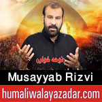 https://www.humaliwalayazadar.com/2015/09/musayyab-ali-rizvi-nohay-2005-to-2016.html