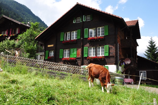 Trail from Trümmelbach Falls to Lauterbrunnen