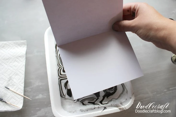 Supplies needed for Easy Marble marbling.  Styrofoam shallow dish with 1/4 inch of water.  Easy Marble in black and white.  White card stationery.  Toothpick, gloves, paper towels, acetone.