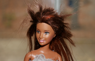 Barbie Hair  Games on Hannah Keeley S Blog  Barbie Gets A Haircut