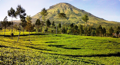 Dataran Tinggi Dieng 