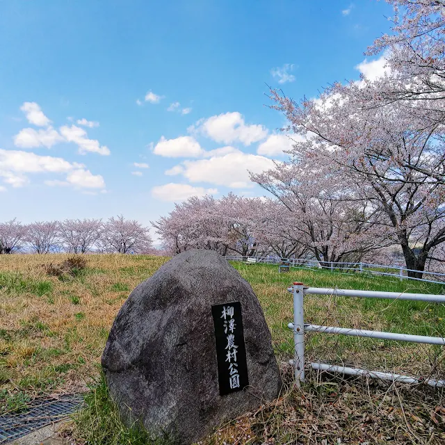 柳沢貯水池　柳澤農村公園