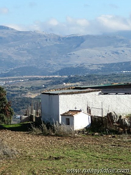 Cornicabral de Mures