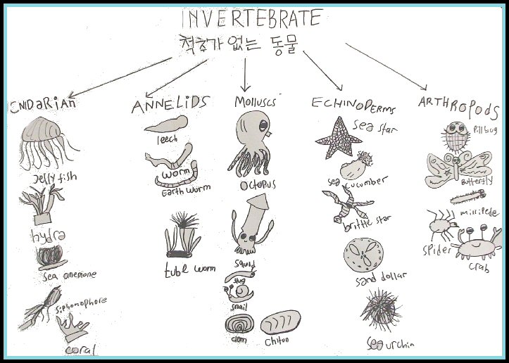 Makalah IPA Invertebrata 