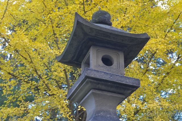 2013-10-19 Fun Saturday 049