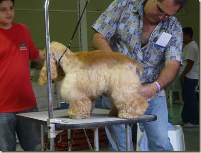 Expo_Canina27