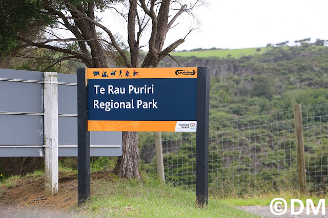 Photo du panneau de Te Rau Puriri sur la péninsule sud de Kaipara Harbour Nouvelle-Zélande