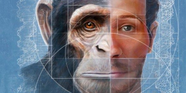 Cientistas cria um híbrido de macaco e um humano