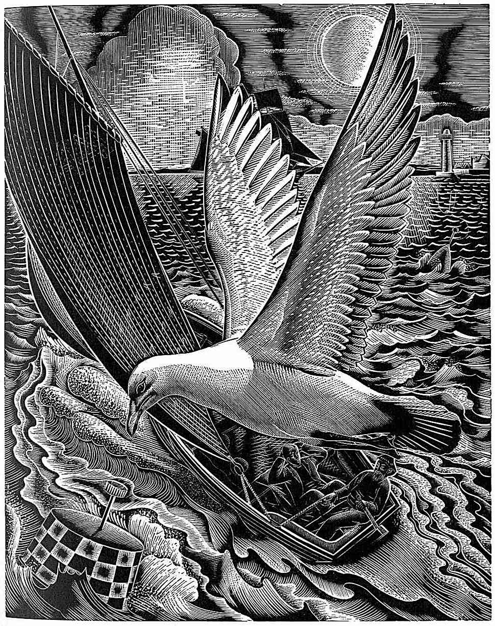 a Lennox Paterson 1950 scratchboard illustration of a bird flying with a sailboat below