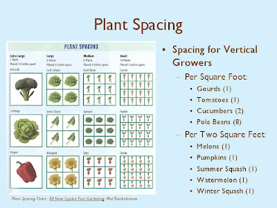 Quickie Chart for Square Foot Plant Spacing