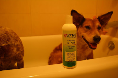 bathtub dog with medicated conditioner