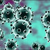 BOLETÍN 147 DEL MSP! 22 fallecimientos por coronavirus y 910 casos nuevos en últimas 24 horas.