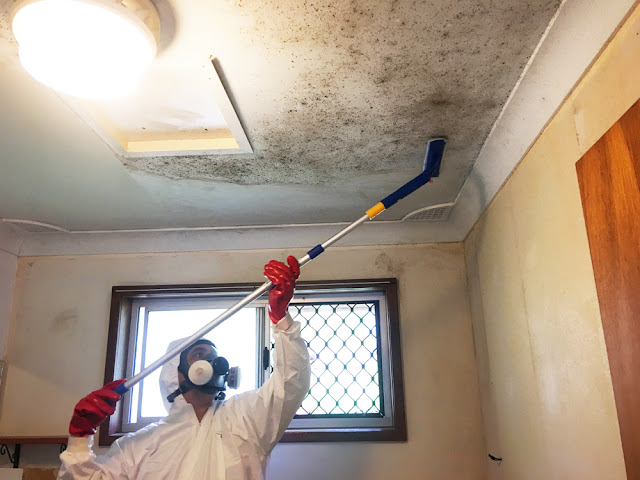 mould-removal-gold-coast