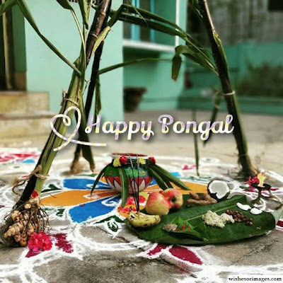 Happy Pongal 2020 Images