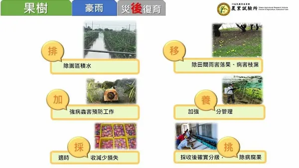 滯留鋒面影響恐致災 彰化縣府提醒農民加強農作物防範措施