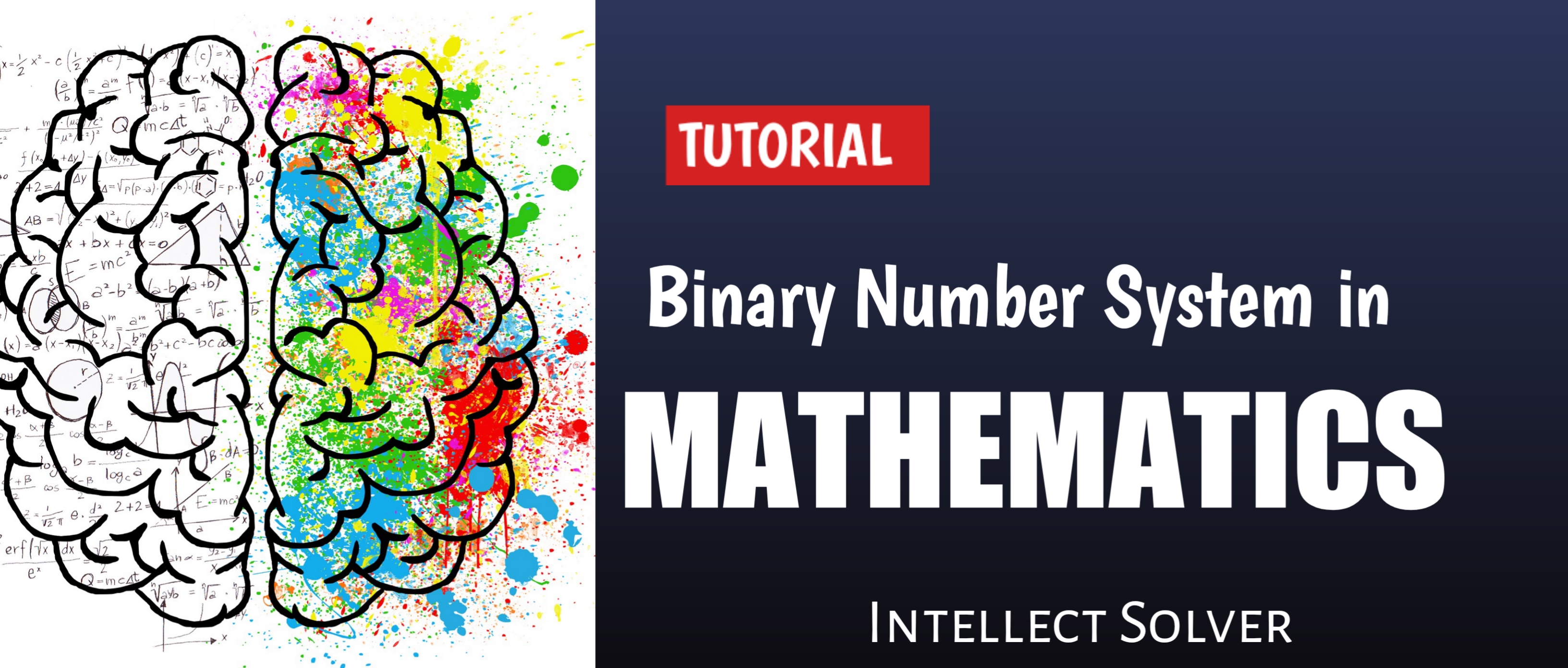 BINARY NUMBER SYSTEM - intellectsolver