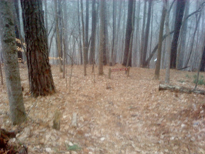 starting to snow on the Sycamore Trail at Umstead