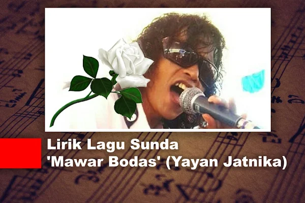 Lirik Lagu Sunda 'Mawar Bodas' (Yayan Jatnika)