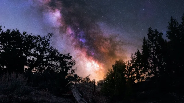 Wallpaper Space, Nebula, Trees, Night