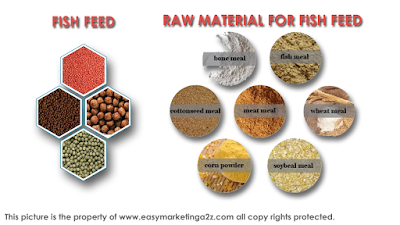 Fish Feed Raw Materials