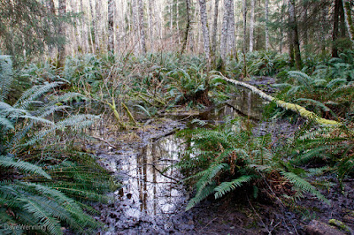 Hoypus Point, Deception Pass State Park