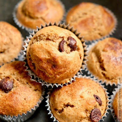 a square image of whole wheat tiramisu-inspired muffins