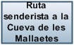 Enlace a la ruta de la Cova de les Mallaetes
