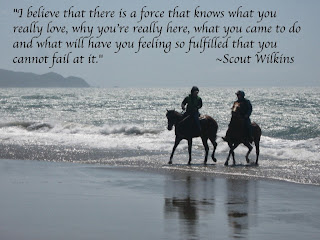 Horse Quotes