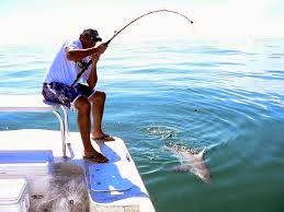  gambar  orang sedang  memancing  ikan  gambar  lucu gif 