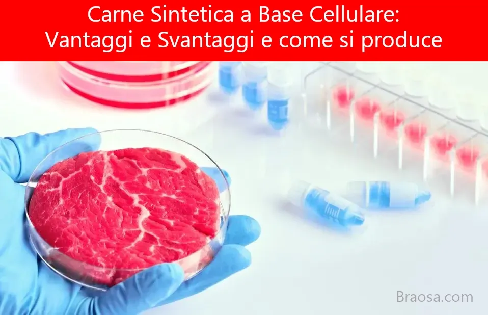 Carne Sintetica a Base Cellulare: Vantaggi e Svantaggi e come si produce