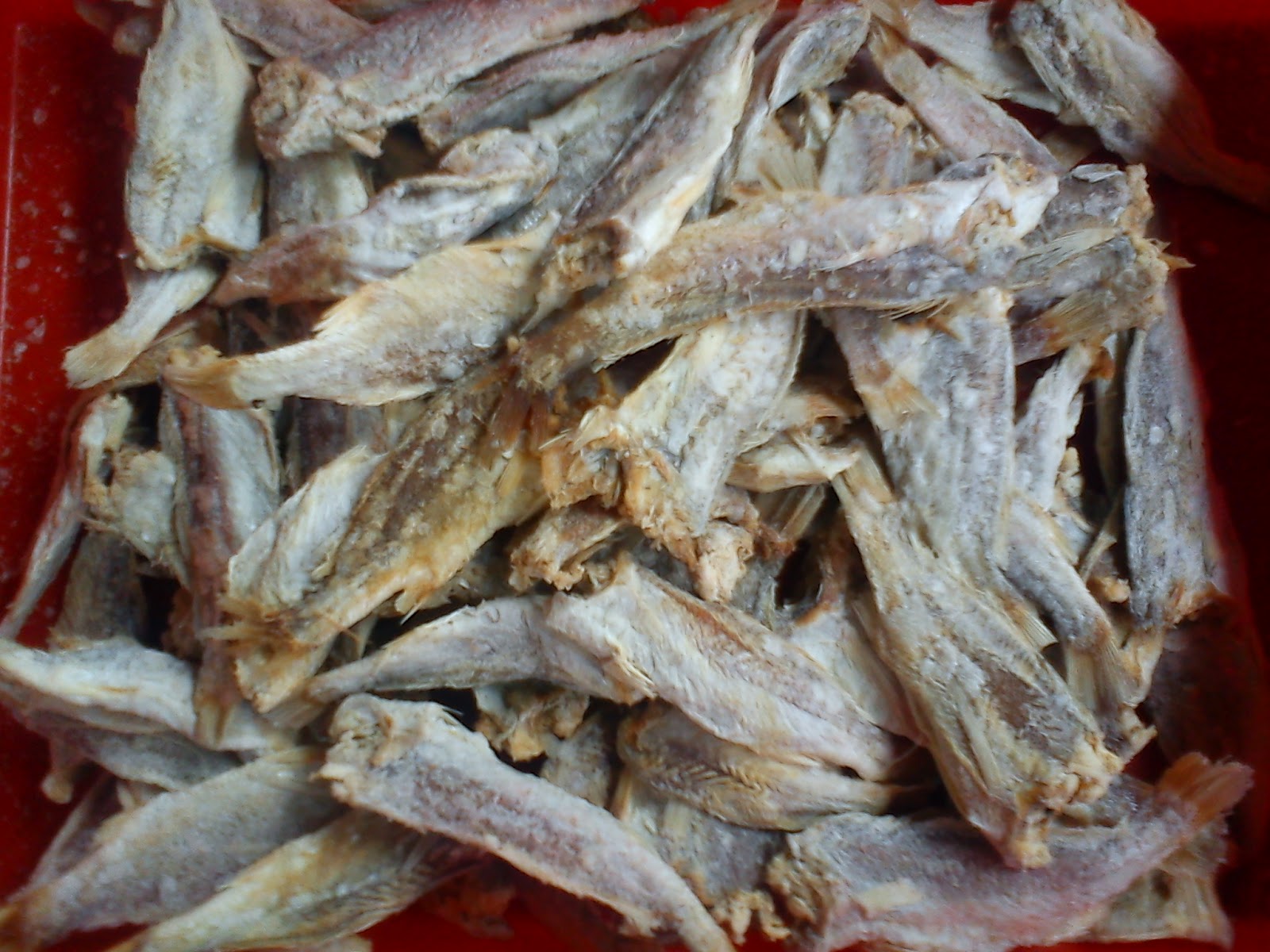 Resepi Ikan Tongkol Masak Berlada - Surasmi 1