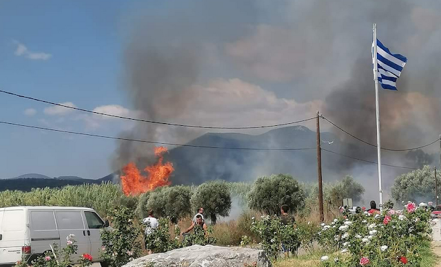 Υπό πλήρη έλεγχο από την Πυροσβεστική  η πυρκαγιά στην Εύα Μεσσηνίας