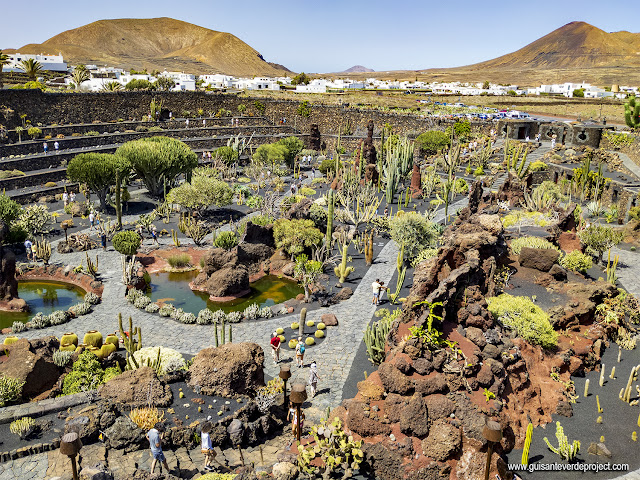 Jardín de Cactus - Lanzarote, por El Guisante Verde Project