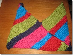 Januar2011 031
