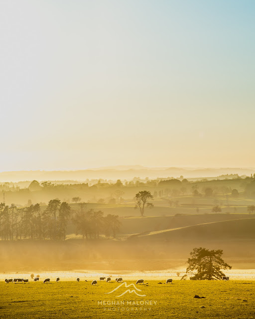 rural nz classic sunrise waikato