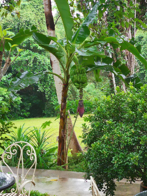 The_Coastal_Settlement_Netheravon_Road_Changi