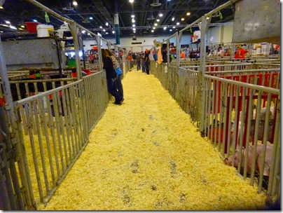 Houston Livestock Show and Rodeo