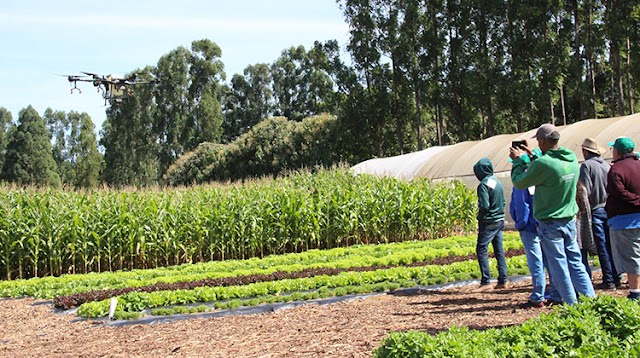 Emater-DF: Circuitos da Emater-DF na AgroBrasília apresentam agroindustrialização como alternativa de renda ao produtor