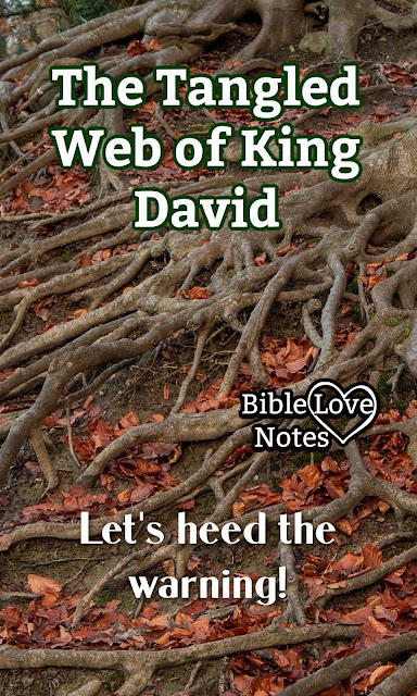King David teaches an important lesson about tangled webs. let's heed it.