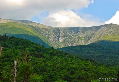 9. tuckerman's ravine-kab