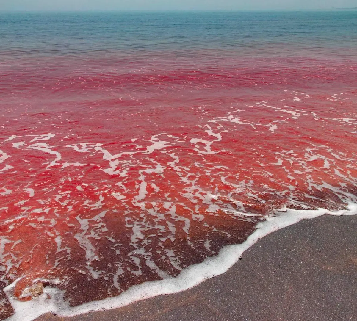 The Red Beach: How Geological Processes Shaped This Natural Wonder